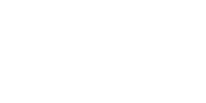 CHISON